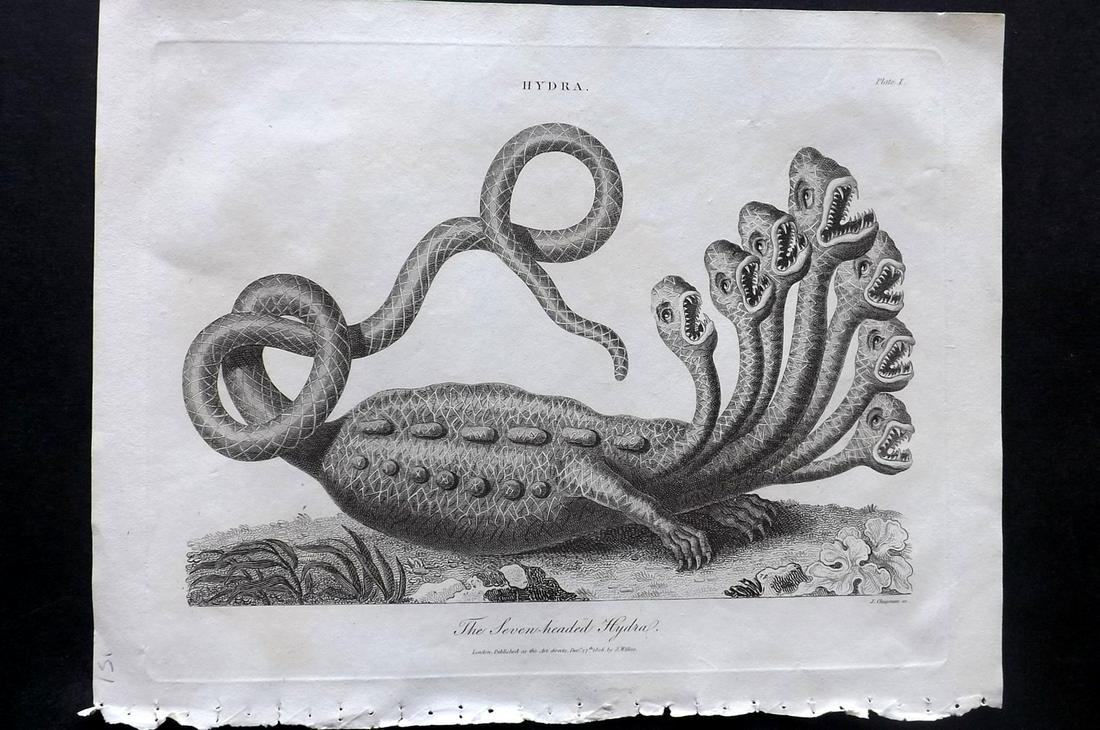 Wilkes, John 1806 Print. Seven Headed Hydra: Copper Plate Published 1796-1828 London for "Encyclopaedia Londinensis, or universal dictionary of arts, sciences and literature" by John Wilkes et al. Paper Size: 10.5 x 8.5 inch (27 x 22cm) Very min