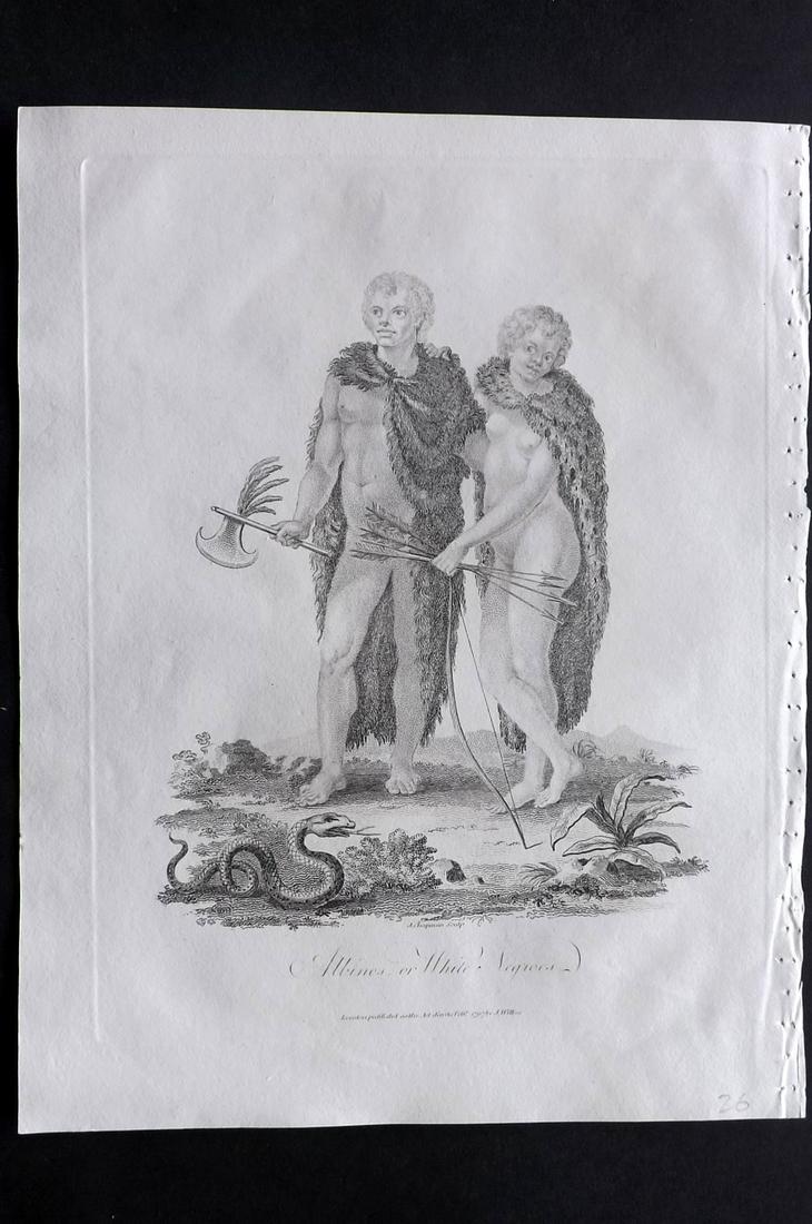 Wilkes, John 1797 Print. Albinos or White Negroes: Copper Plate Published 1796-1828 London for "Encyclopaedia Londinensis, or universal dictionary of arts, sciences and literature" by John Wilkes et al. Paper Size: 10.5 x 8.5 inch (27 x 22cm) Good Con