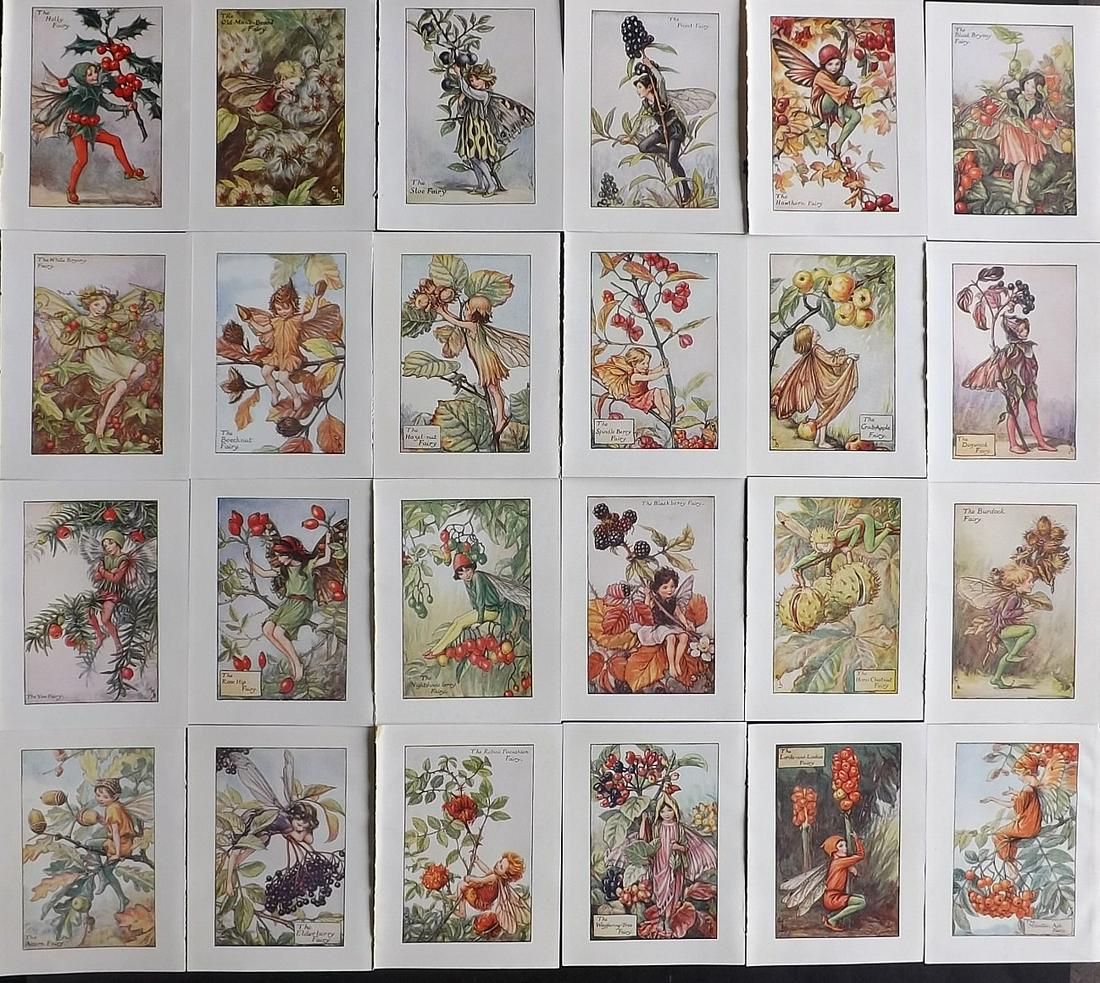 Barker, Cicely Mary C1940 Lot of 24 Flower-Fairy Prints: Autumn Fairies. Lithographs Published C1935-45 by Blackie & Son, London & Glasgow for the "Flower-Fairies" Series by Cicely Mary Barker. Reverse side blank. Paper Size: 5.5 x 4 inch (14 x 10cm) Good C