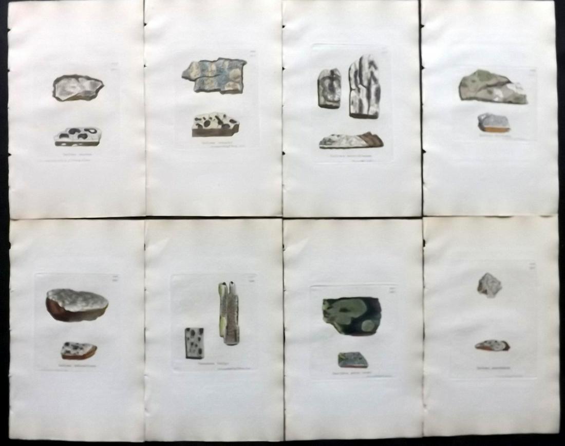 Sowerby, James C1840 Lot 8 HC Botanical Prints Lichens: Full Hand Colored Etchings Published London, 1832-46 for "English Botany; or, Coloured Figures of British Plants…" Second Edition by James Sowerby and Edward Smith. Paper Size: 9 x 5.5 inch (23 x 14