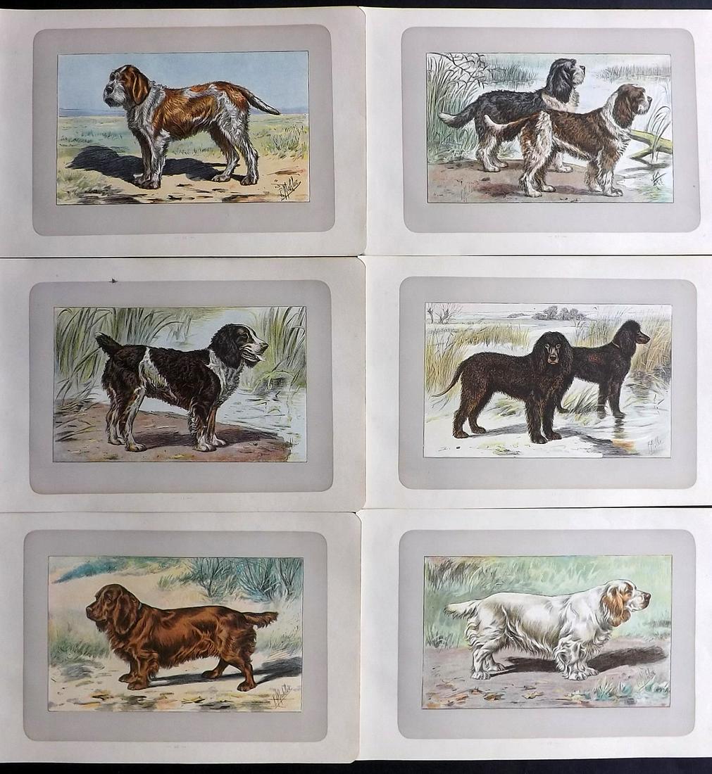 Mahler, P. 1907 Lot of 6 Antique Dog Prints (1 of 2)