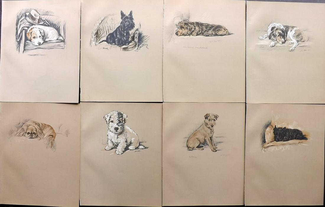 Dawson, Lucy 1936 Lot of 8 Dog Prints: Lithographs Published 1936, London for "Dogs as I see them" by Lucy Dawson. Paper Size: 12 x 9 inch (30 x 23cm) Good Condition