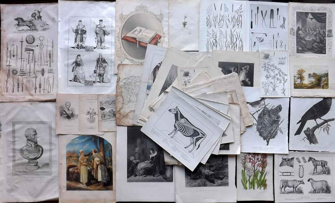 Mixed Prints 19th Cent. Lot of 100 Engravings & Lithos (1 of 11)