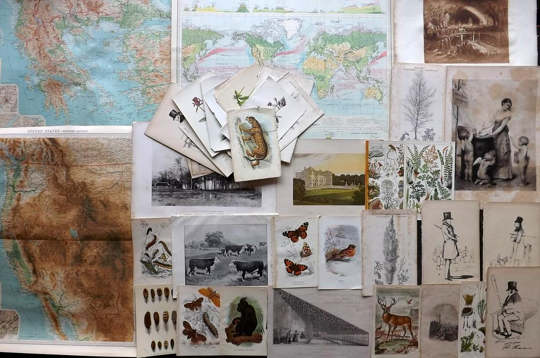 Mixed Prints 19th Cent. Lot of 50 Engravings & Lithos (1 of 7)