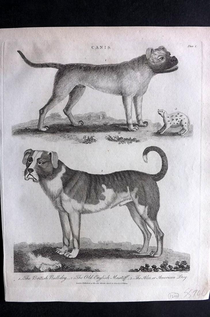 Wilkes, John C1810 British Bulldog, Alco or American (1 of 2)