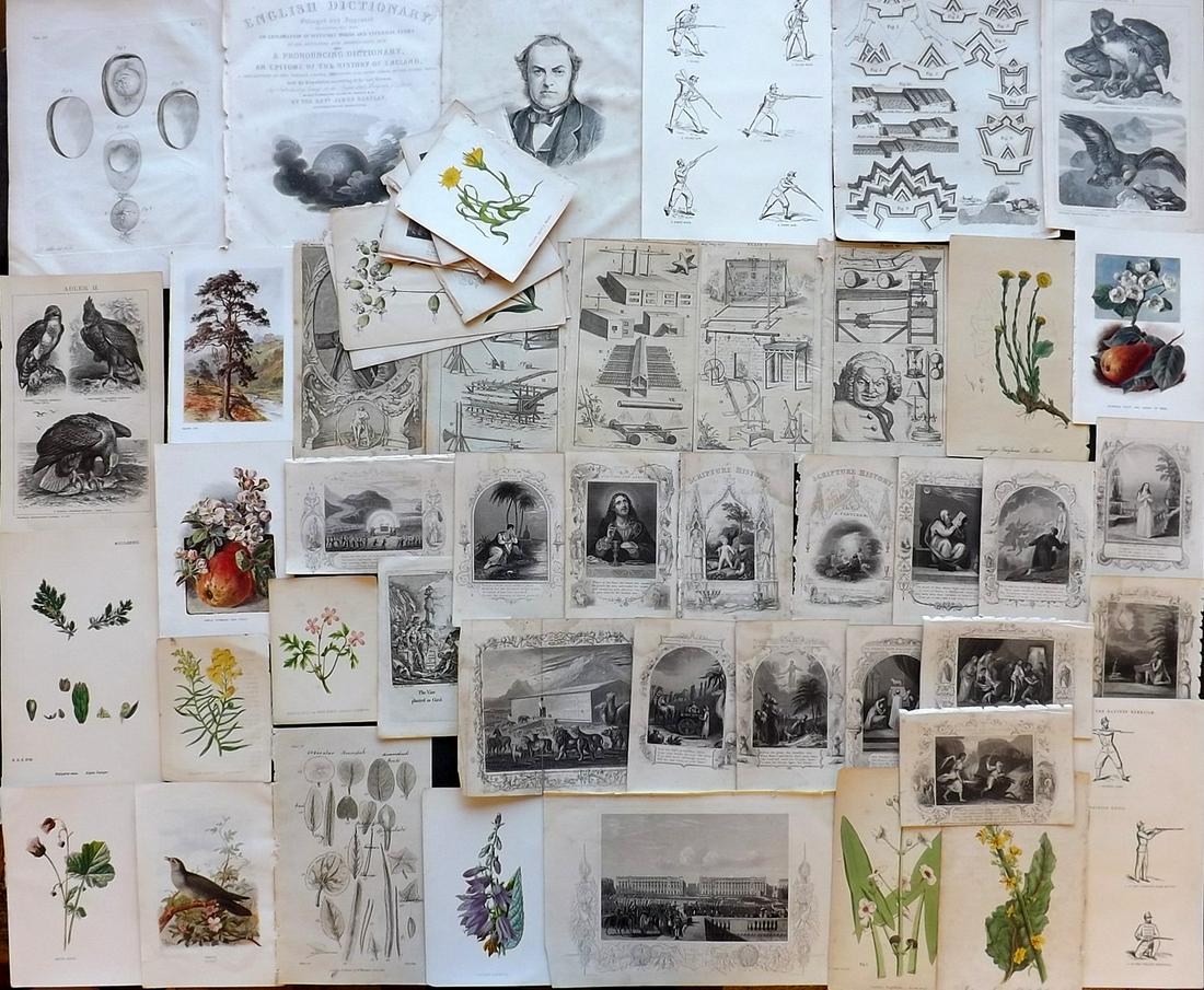 Mix Prints 18th-19th Cent. Lot of 50 (1 of 6)