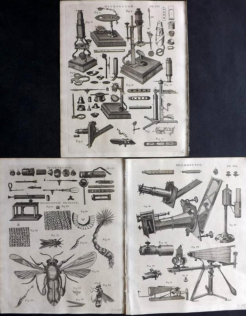 Russell, S. (Pub) 1806 Lot of 3 Microscope Prints: Copper Plates Published 1806, Manchester for "The British Encyclopaedia" by Various. Paper Size: 10 x 8 inch (26 x 21cm) Good Condition
