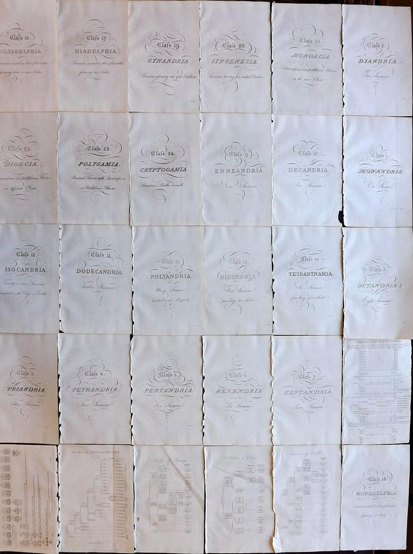 Thornton, Robert 1812 Lot of 30 Charts, Calligraphy etc (1 of 2)