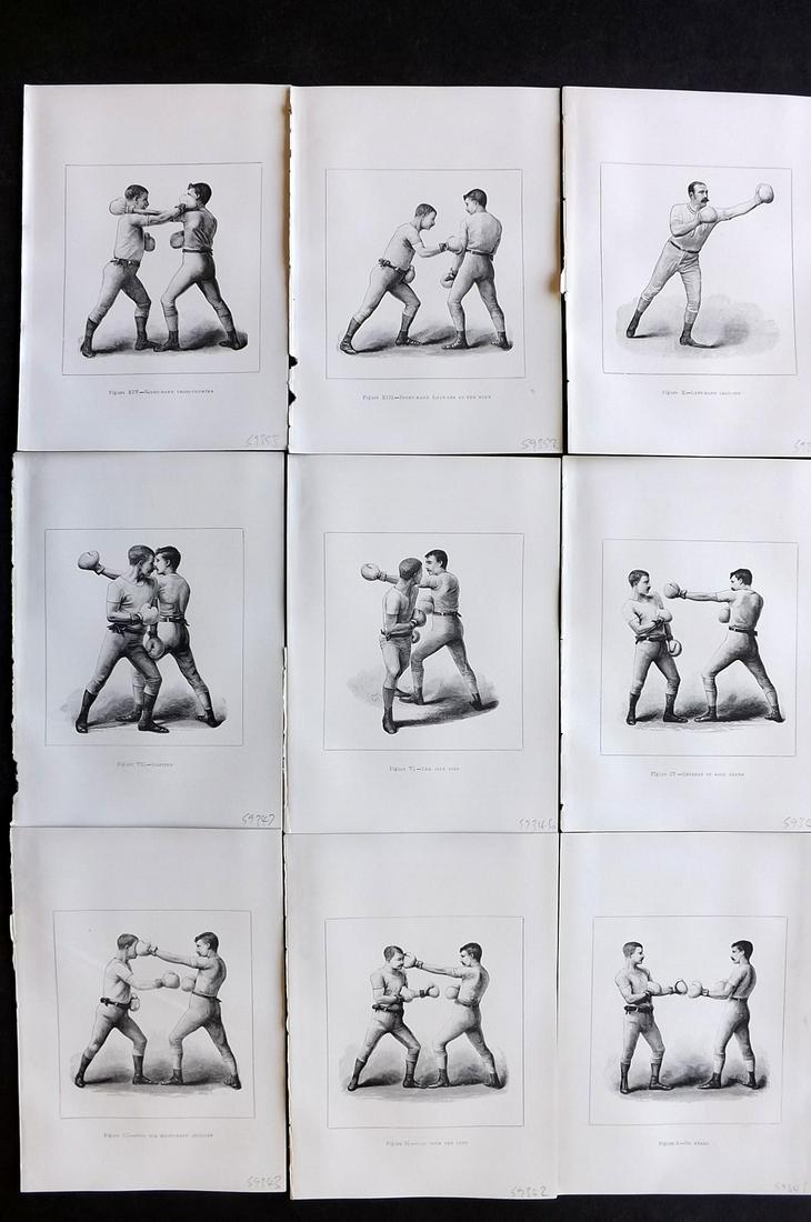 Boxing 1901 Lot of 9 Prints. Badminton Library (1 of 2)