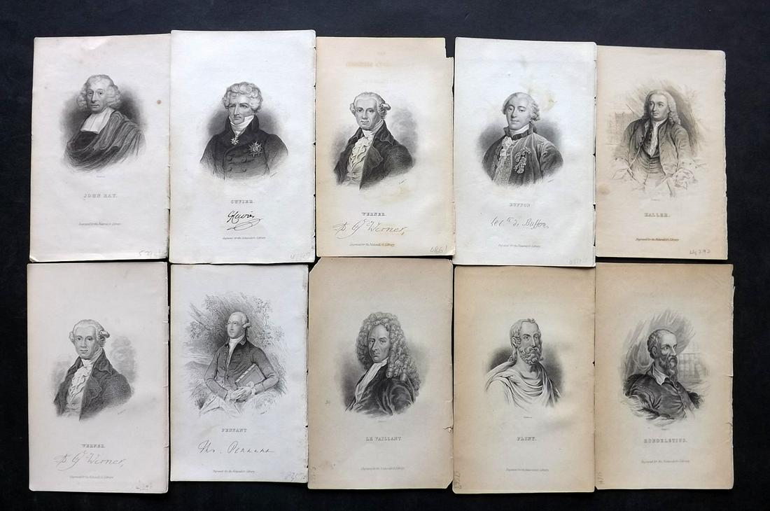 Jardine, William C1335 Lot of 10 Naturalist Portraits: Werner is duplicated. Hand Colored Steel Engraving/Etchings Published 1833-43 by W.H.Lizars, Edinburgh for "The Naturalist's Library" by Sir William Jardine. Paper Size: 6.5 x 4.25 inch (17 x 11cm) Go