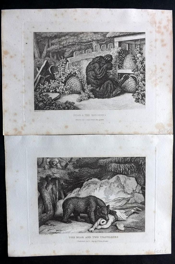 Howitt, Samuel 1811 Pair of Etchings. Bear, Beehives (1 of 2)