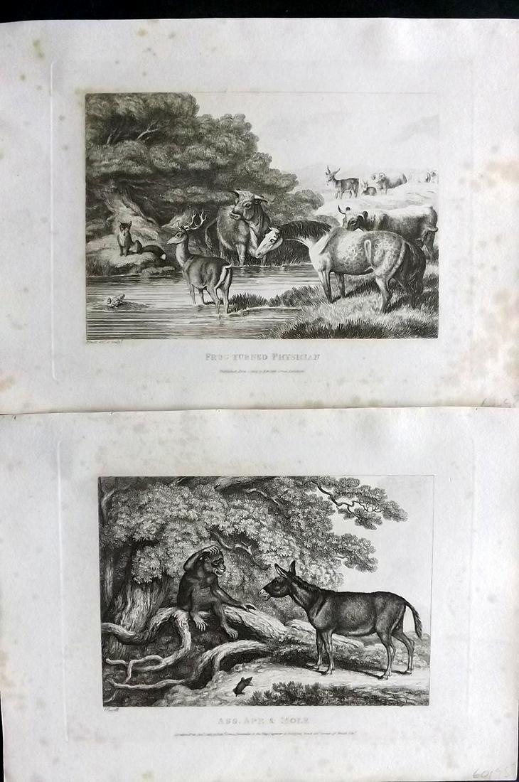 Howitt, Samuel 1811 Pair of Antique Etchings (1 of 2)