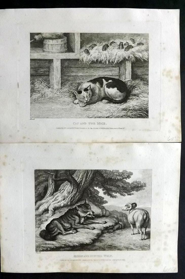 Howitt, Samuel 1811 Pair of Antique Etchings (1 of 2)