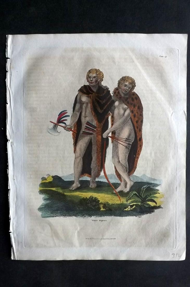 Buffon & Smellie C1821 HCol Print. White Negroes Africa: Hand Colored Copper Plate Published C1821 by Thomas Kelly, London for "A Natural History, General and Particular..." by The Comte de Buffon and William Smellie. Paper Size: 10 x 8 inch (26 x 21cm) Min