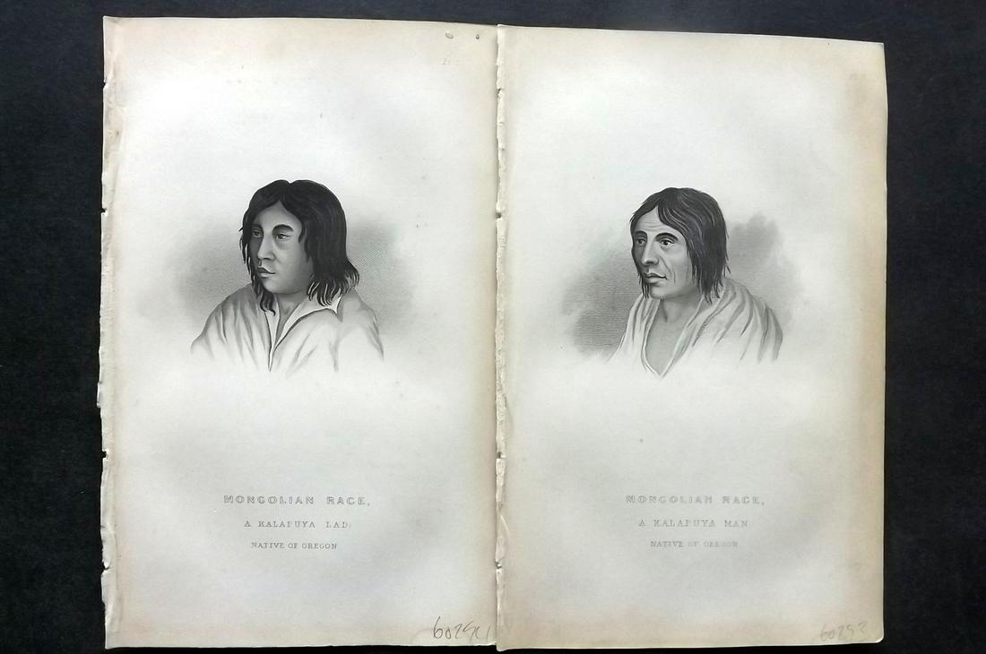 Pickering, Charles 1850 Pair Prints. Oregon Natives USA (1 of 2)