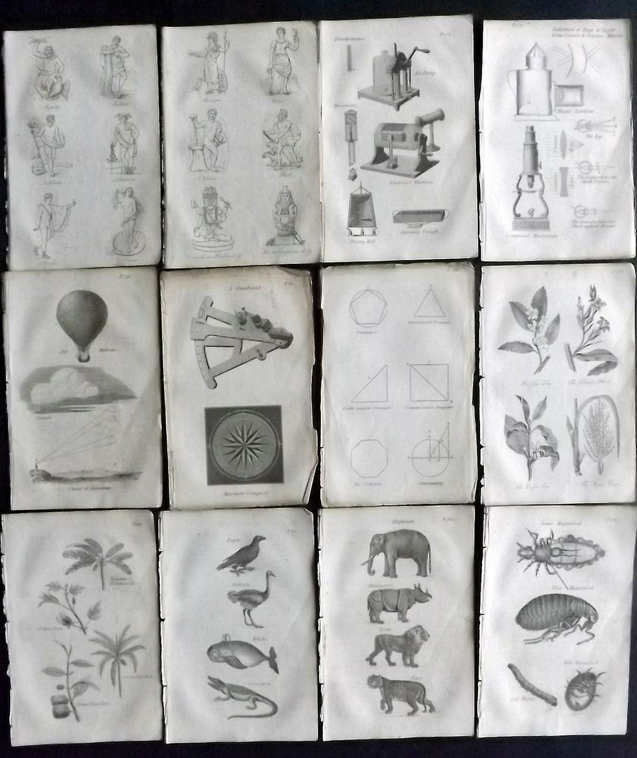 Blair, David 1834 Lot of 12 Miniature Prints. Science (1 of 2)