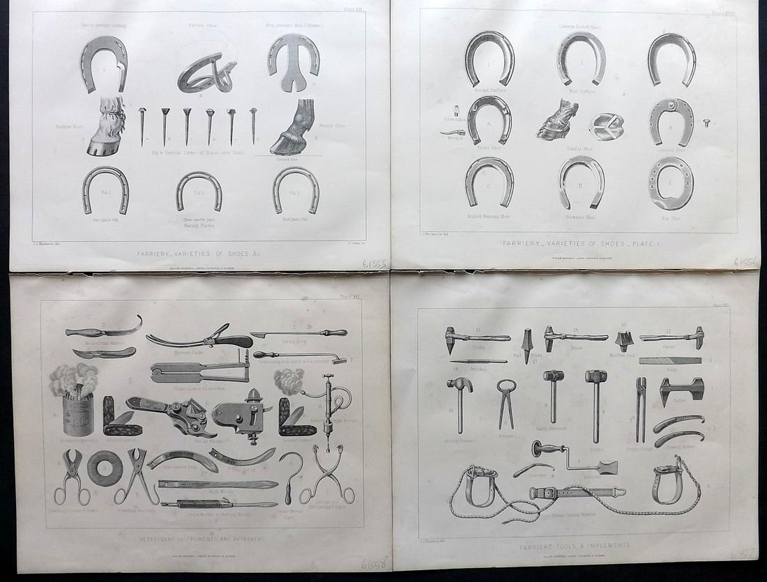 Miles, W. J. 1898 Lot of 4 Horse Shoe etc Prints (1 of 2)