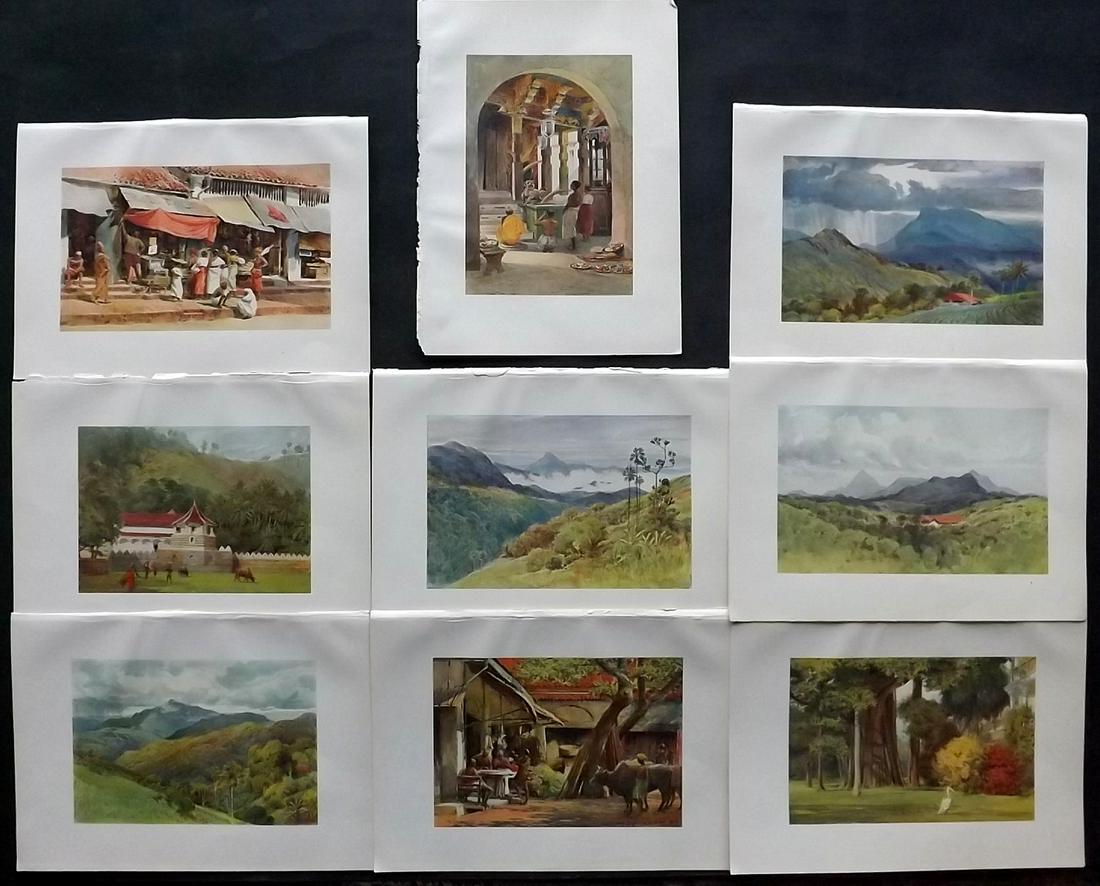 Hallam Murray, A. H. 1905 Lot of 9 Prints. Ceylon (1 of 2)