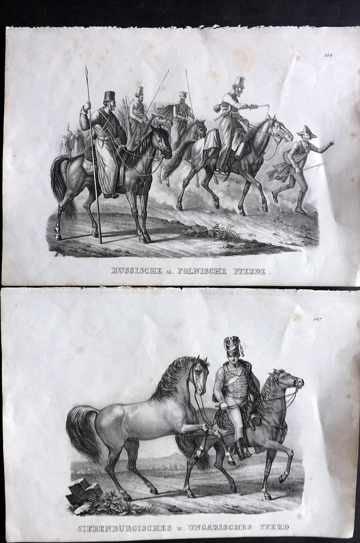 Schinz & Brodtmann 1827 Pair of Horse Prints (1 of 2)