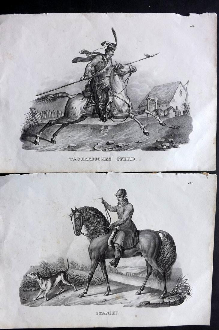 Schinz & Brodtmann 1827 Pair of Horse Prints (1 of 2)