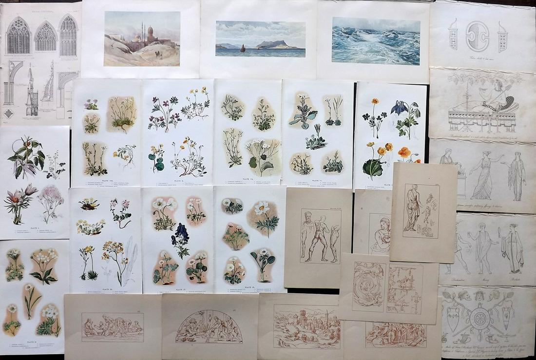 Mixed Prints C1810-1910 Lot of 28: Lot of Etchings, Engravings and Lithos. Incl Ancient Costume, Botanical, Views, Architecture and Lithograph Drawings ater Raphael. Paper Size: Up to 9.5 x 6 inch (25 x 16cm) Good Condition