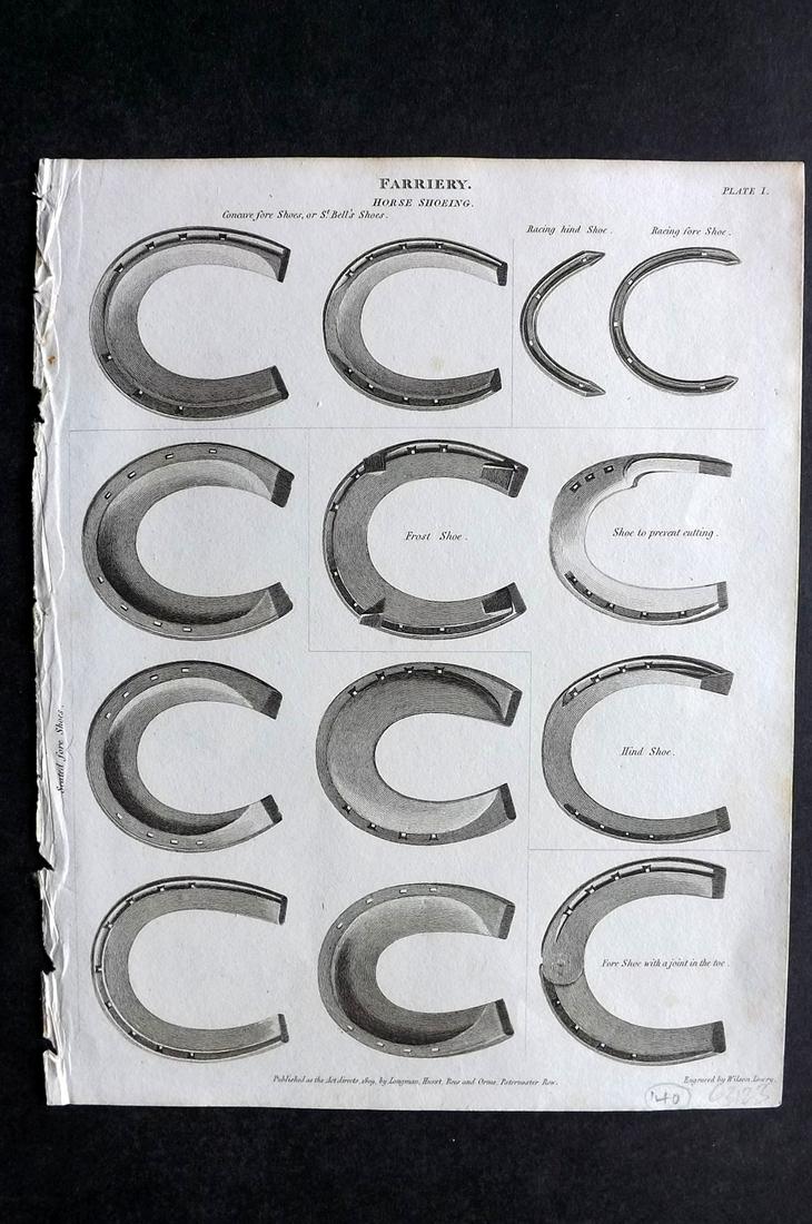 Rees, Abraham 1820 Antique Print. Horse Shoes Farriery (1 of 2)