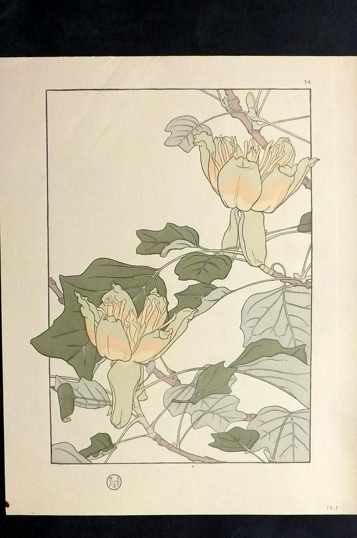 Foord, Jeannie 1906 Art Deco Pochoir Botanical 14 (1 of 2)