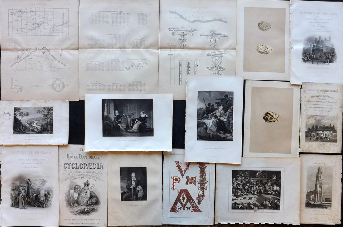 Mixed Prints 19th Cent. Lot of 16: Lot of 16 Engravings and Lithos. Incl Bird Eggs, Decorative, Hogarth, Science, Historical, Portrait and Views. Paper Size: Up to 12.5 x 9.5 inch (32 x 24cm) A few with faults. Good Condition overall