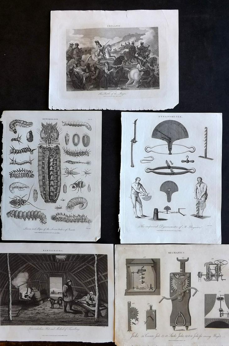 Wilkes, John C1810 Mixed Lot of 5 Prints: Incl Science/Tech, View in Kamtschatka, Battle of the Boyne and Severn orders of Insects. Copper Plates Published 1796-1828 London for "Encyclopaedia Londinensis, or universal dictionary of arts, scie