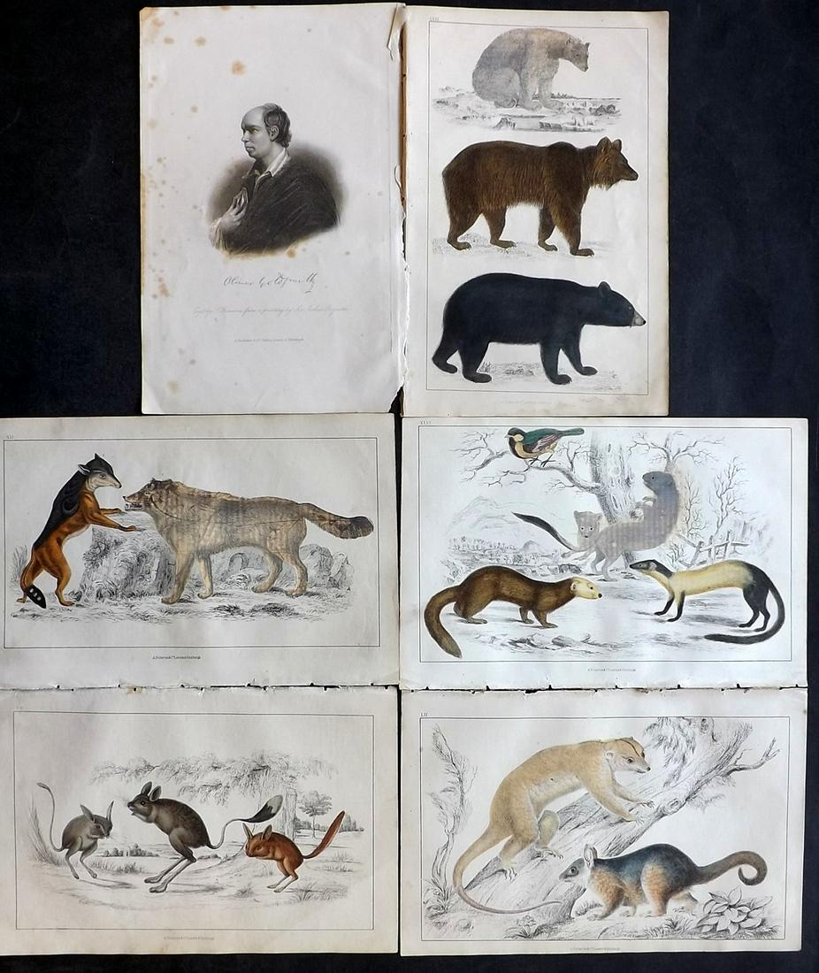 Goldsmith, Oliver C1850 Lot of 6 Prints (1 of 2)