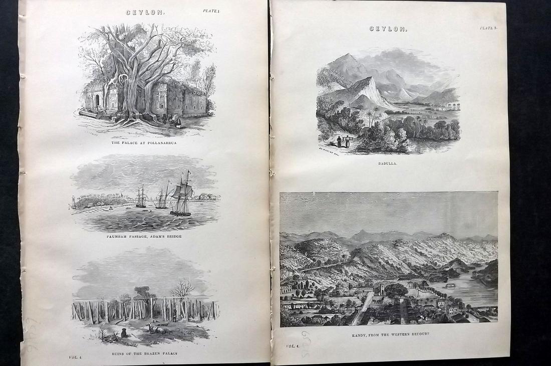 Nat. Ency. C1875 Pair of Prints. Ceylon - Sri Lanka (1 of 2)