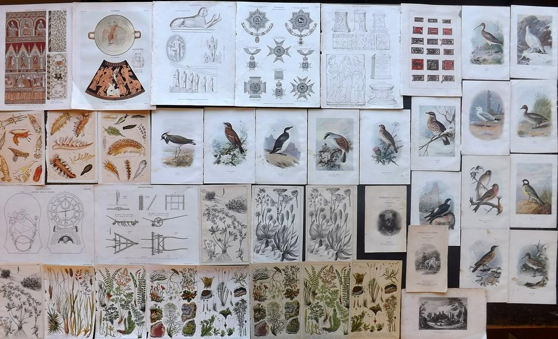 Mixed Prints 19th Cent. Lot of 40 (1 of 6)