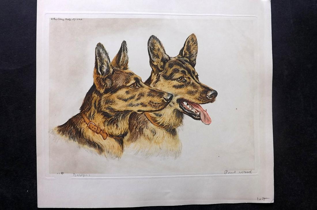 Wood, Paul C1935 Signed Dog Etching. Bergers (1 of 2)