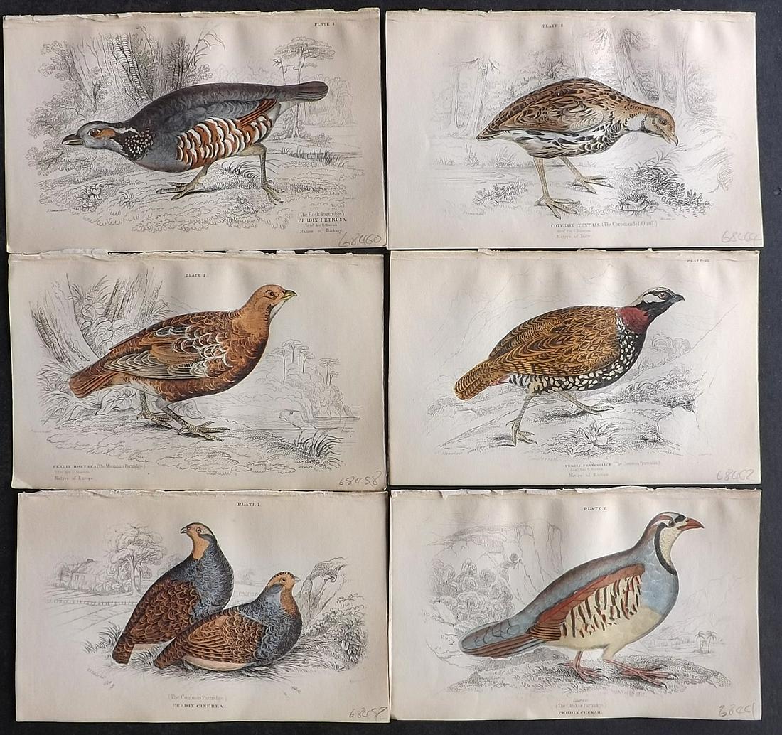 Jardine, William C1840 Lot of 6 HC Game Bird Prints (1 of 2)