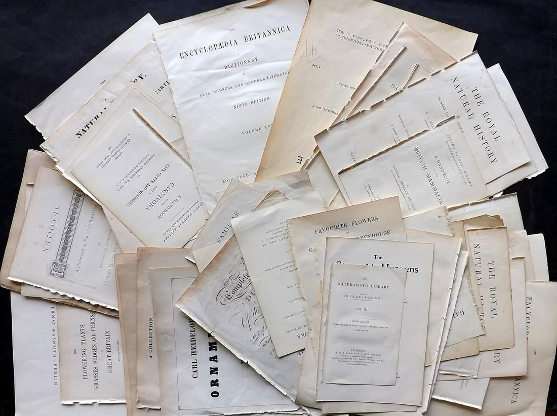 Title Pages 18th-20th Cent. Lot of 100: Lot of original Title Pages. Incl Botanical, Birds, Natural History, Views, Architecture, Travel, Encyclopedias, Bibles, etc. Paper Size: Up to 15 x 9 inch (38 x 23cm). Some small faults, good overall