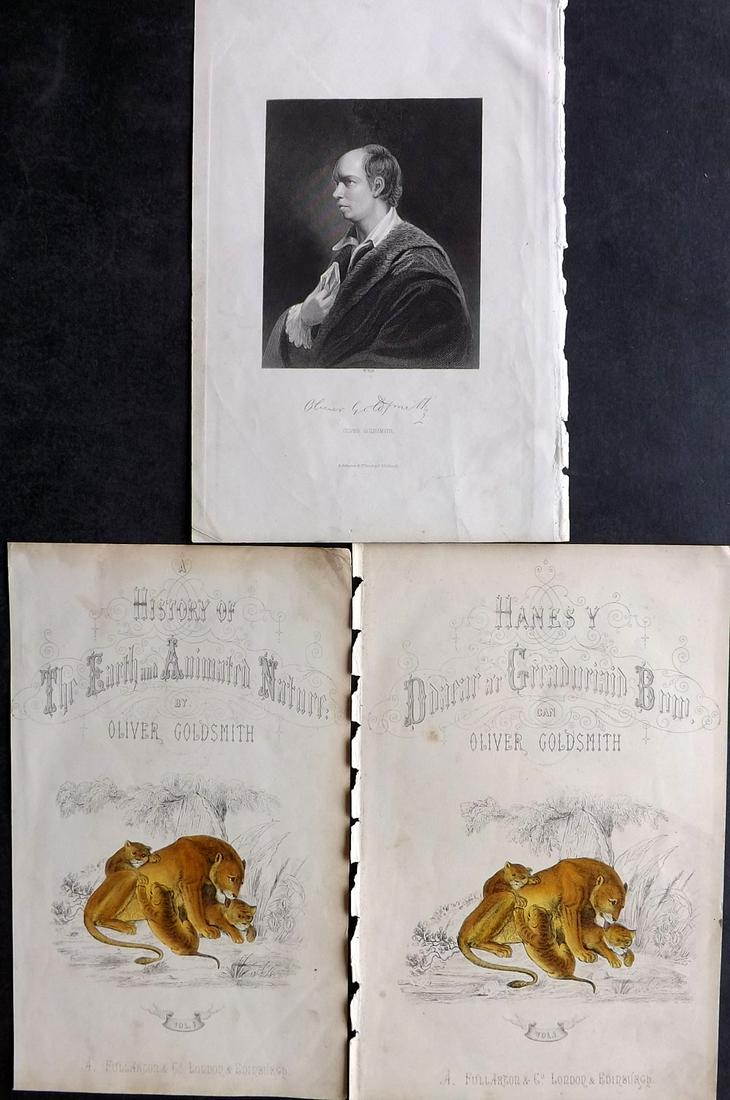 Goldsmith, Oliver C1850 Lot of 3 Prints. Lioness, Portrait (1 of 2)