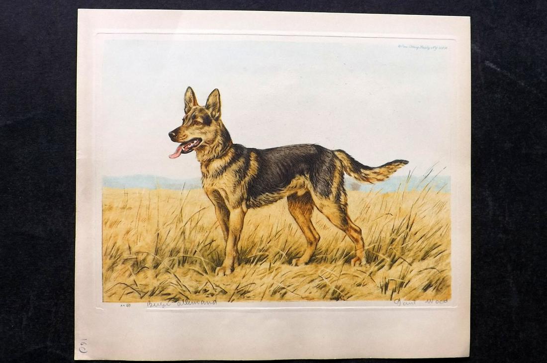 Wood, Paul C1935 Signed Dog Etching. Berger Allemand: Colour Printed Etching Published C1935 by the Paris Etching Society, New York. Drawn & Etched by Paul Wood. Signed and Titled in pencil by Wood, bottom margin. Paper Size: 9.5 x 8.5 inch (24 x 22cm) G