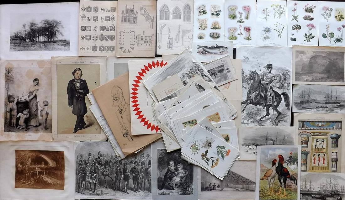 Mixed Prints 19th-20th Cent. Lot of 110+ (1 of 7)
