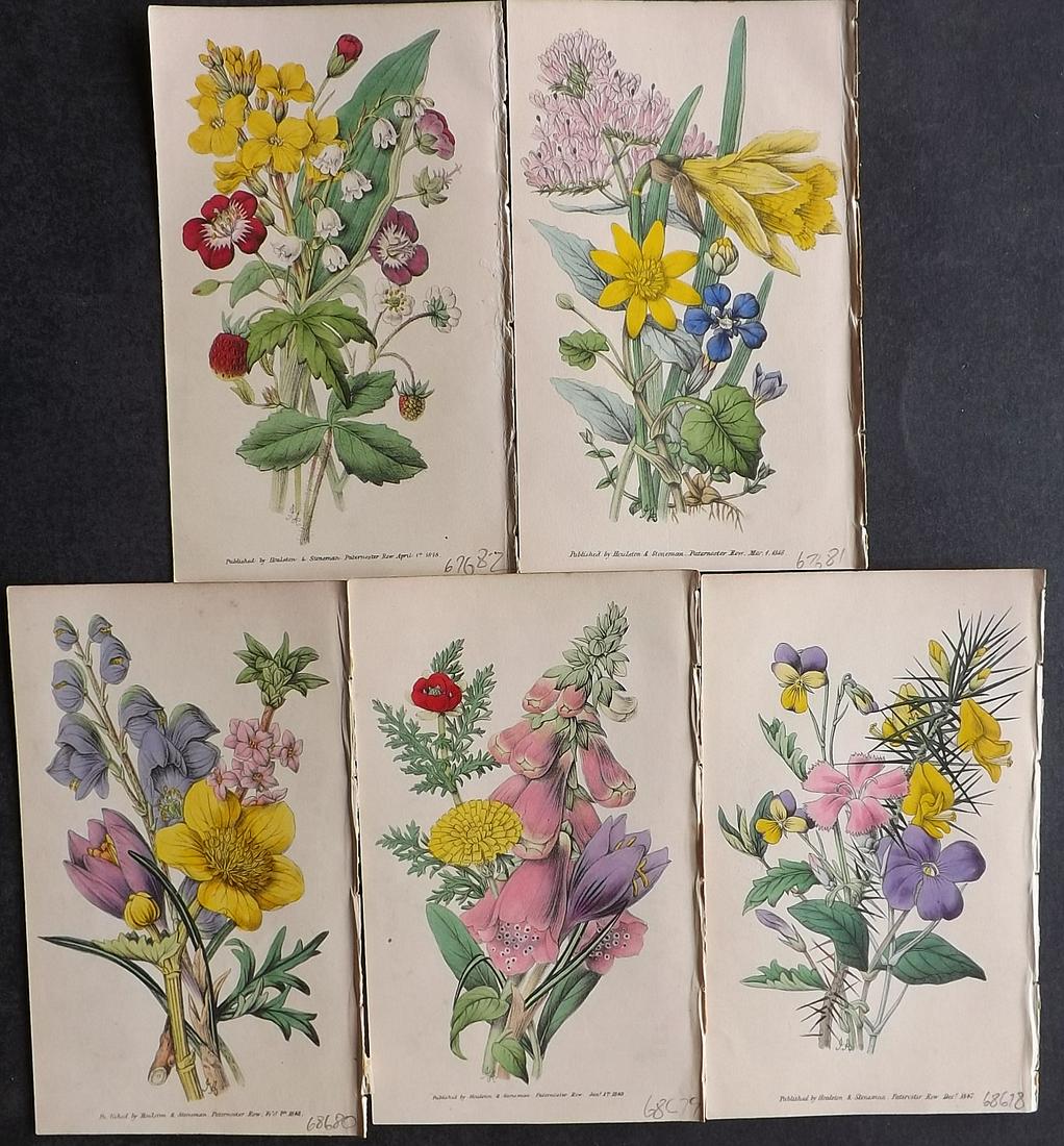 Tyas, Robert 1848 Lot of 5 Hand Col Botanical Prints: Hand Colored Lithograph Published 1848, London for "Favourite Field Flowers" by Robert Tyas. Paper Size: 6.5 x 4 inch (16.5 x 10cm) Good Condition