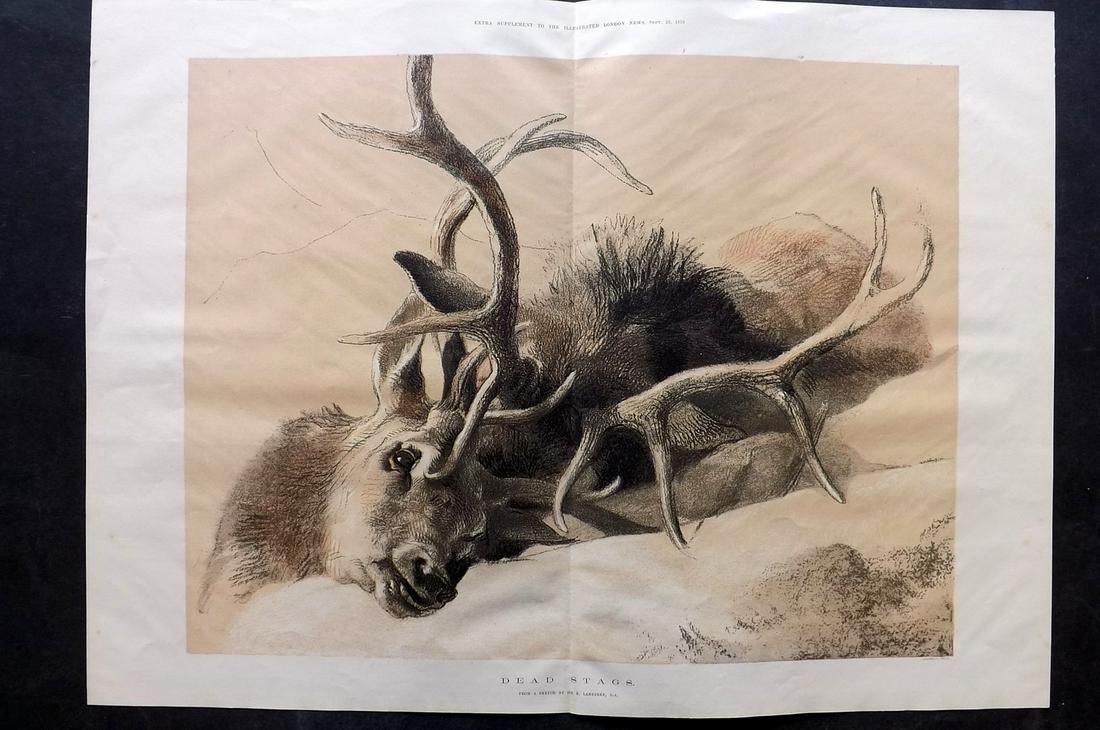 ILN 1876 LG Folio Print. Dead Stags. Deer Hunting (1 of 2)
