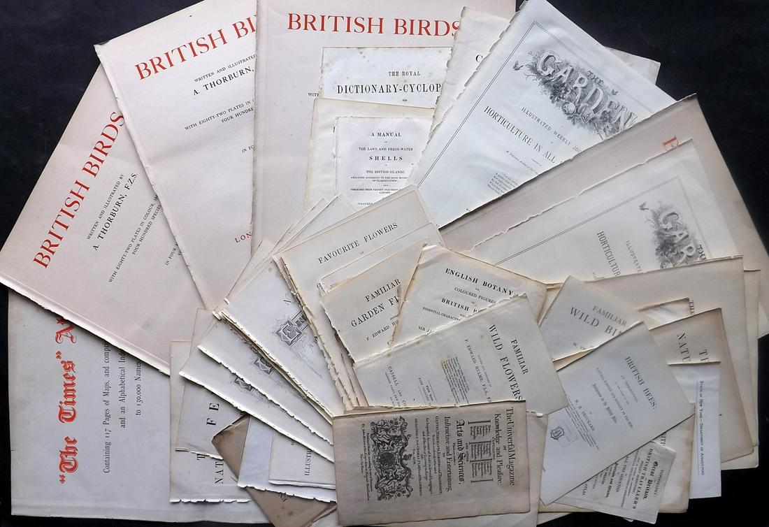 Title Pages 19th Cent. Lot of 65 (1 of 6)