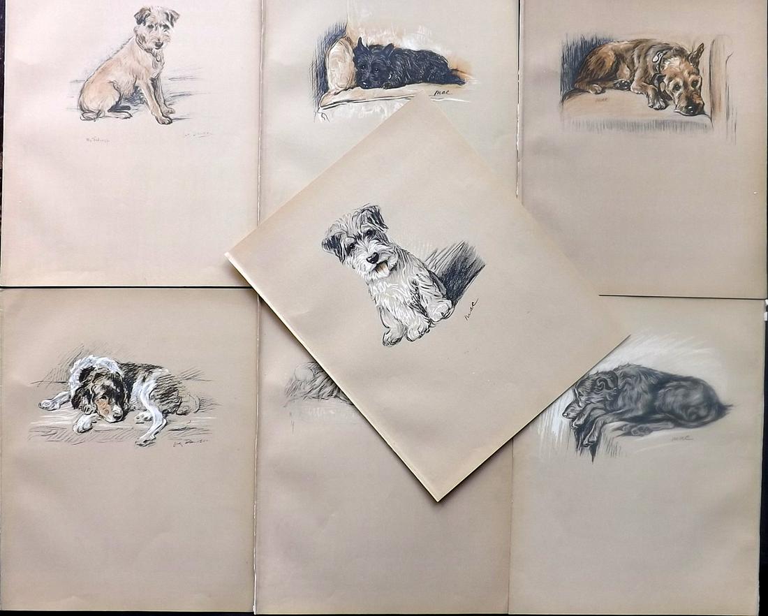 Dawson, Lucy 1936 Lot of 7 Dog Prints: Lithographs Published 1936, London for "Dogs as I see them" by Lucy Dawson. Paper Size: 12 x 9 inch (30 x 23cm) Good Condition