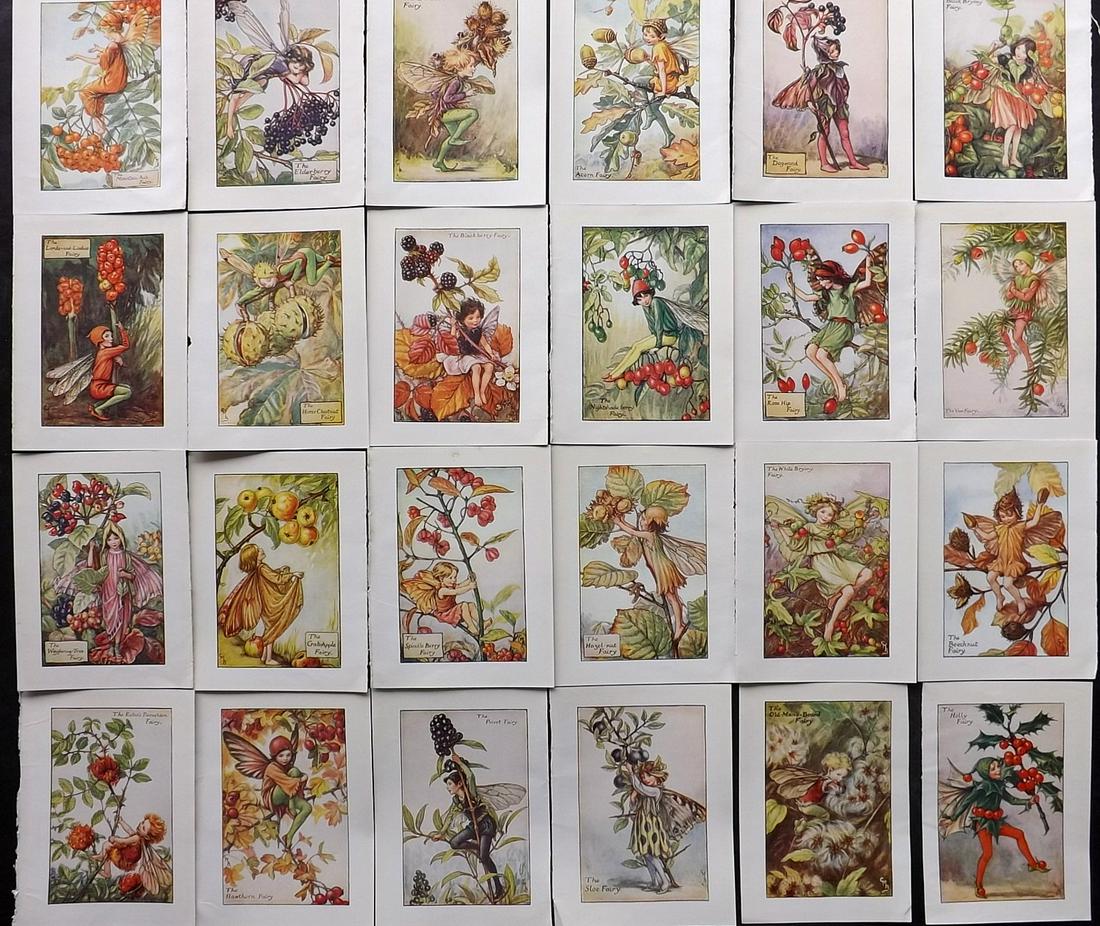 Barker, Cicely Mary C1940 Lot of 24 Flower-Fairy Prints: Autumn Fairies. Lithographs Published C1935-45 by Blackie & Son, London & Glasgow for the "Flower-Fairies" Series by Cicely Mary Barker. Reverse side blank. Paper Size: 5.5 x 4 inch (14 x 10cm) Good C