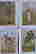 item-131486439=4