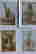item-131486439=6