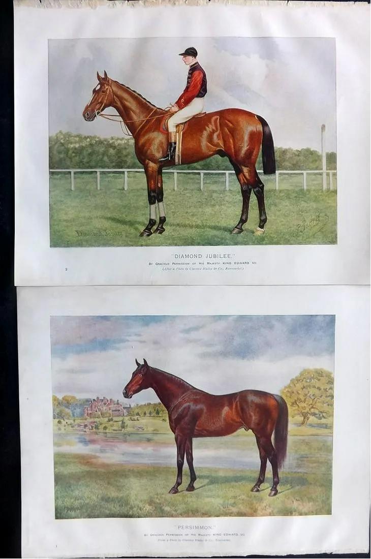 Prince-Sheldon, J. 1902 Pair of Horse Prints (1 of 2)