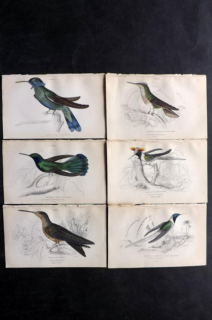 Jardine, William C1840 Lot of 6 Hand Col Hummingbird Prints (1 of 2)