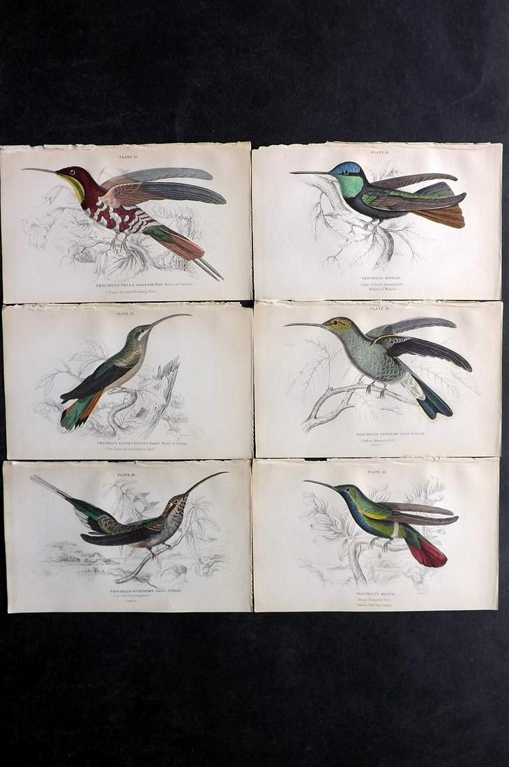 Jardine, William C1840 Lot of 6 Hand Col Hummingbird Prints (1 of 2)