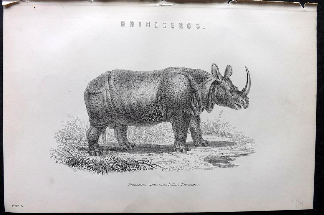 National Encyclopedia 1891 Print. Rhino (1 of 2)