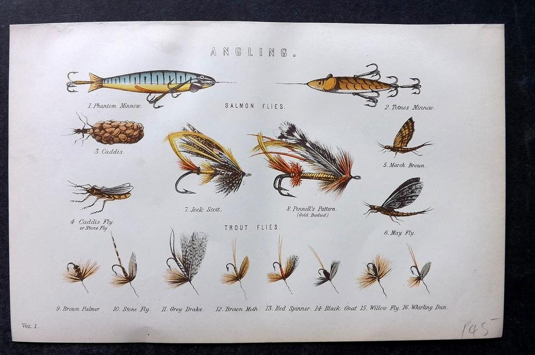 Nat. Ency. 1891 Print. Salmon & Trout Flies. Angling Fishing: Chromolithographs Published 1891-1901 by William Mackenzie, London for "The National Encyclopedia: A dictionary of Universal Knowledge" Paper Size: 9.5 x 6 inch (24 x 16cm) Good Condition